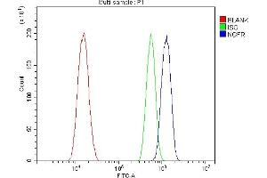 Flow Cytometry analysis of A431 cells using anti-p75 NGF Receptor/NGFR antibody (ABIN7601116).