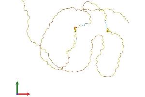 Protein Structure (PS) image for MyoD Family Inhibitor (MDFI) (AA 1-251) protein (His tag) (ABIN7556699)