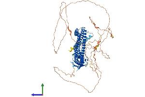 Protein Structure (PS) image for Amphiphysin (AMPH) (AA 1-695) protein (His tag) (ABIN7552146)