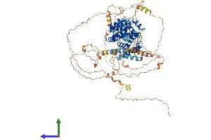 AlphaFold protein structure predicition of Mouse Recombinant Tbc1d30 Protein, UniprotID Q69ZT9