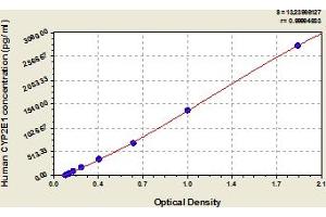 ELISA image for Cytochrome P450, Family 2, Subfamily E, Polypeptide 1 (CYP2E1) ELISA Kit (ABIN6975697)