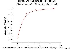 Leucine Peptidase (AA 30-278) protein (His tag)