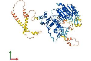 AlphaFold protein structure predicition of Mouse Recombinant Serac1 Protein, UniprotID Q3U213