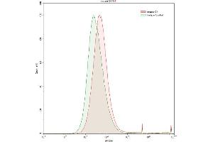 Detection of C4 in HepG2 human hepatocellular carcinoma cell line using Anti-Complement Component 4 (C4) Polyclonal Antibody (Complement C4 抗体  (AA 1450-1723))