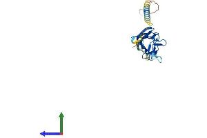 AlphaFold protein structure predicition of Human Recombinant TNFSF12 Protein, UniprotID O43508