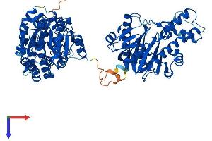 GNE Protein (AA 1-722) (His tag)