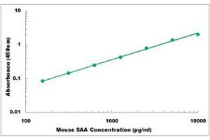 Representative Standard Curve