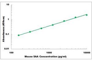 Representative Standard Curve (SAA ELISA 试剂盒)