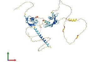 Protein Structure (PS) image for Midnolin (MIDN) (AA 1-465) protein (His tag) (ABIN7557077)