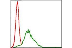 Flow cytometric analysis of HepG2 cells using RSK2 mouse mAb (green) and negative control (red). (RPS6KA3 抗体)