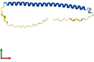 AlphaFold protein structure predicition of Human Recombinant BATF3 Protein, UniprotID Q9NR55