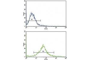 Flow cytometric analysis of HeLa cells using cKit antibody (green) compared to a negative control cell (blue). (KIT 抗体  (AA 9-40))