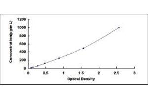 Typical standard curve (RSPO2 ELISA 试剂盒)