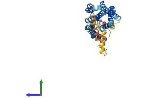 Protein Structure (PS) image for Prostaglandin F Receptor (FP) (PTGFR) (AA 1-359) protein (His tag) (ABIN7550664)