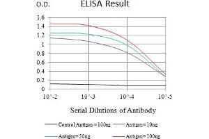 Black line: Control Antigen (100 ng),Purple line: Antigen (10 ng), Blue line: Antigen (50 ng), Red line:Antigen (100 ng) (SIGLEC6 抗体  (AA 27-347))