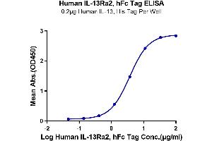 Immobilized Human IL-13, His Tag at 2 μg/mL (100 μL/well) on the plate. (IL13RA2 Protein (AA 27-342) (Fc Tag))