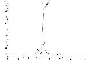 Size-exclusion chromatography-High Pressure Liquid Chromatography (SEC-HPLC) image for CD40 Ligand (CD40LG) (Trimer) protein (His-DYKDDDDK Tag,Biotin) (ABIN7274319)