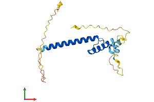 Protein Structure (PS) image for Transcription Factor 15 (Basic Helix-Loop-Helix) (TCF15) (AA 1-195) protein (His tag) (ABIN7557603)