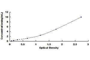 Typical standard curve (Erythroferrone (ERFE) ELISA 试剂盒)