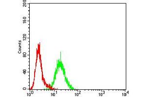 Flow Cytometry (FACS) image for anti-Breakpoint Cluster Region (BCR) (AA 139-280) antibody (ABIN5611129)