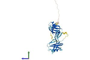 Protein Structure (PS) image for N-Myc (And STAT) Interactor (NMI) (AA 1-307) protein (His tag) (ABIN7549743)