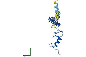 Protein Structure (PS) image for Ribosomal Protein S14 (RPS14) (AA 1-128) protein (His tag) (ABIN7560622)
