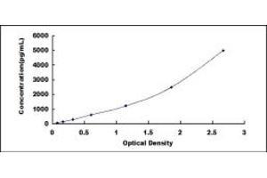 Typical standard curve (S1PR3 ELISA 试剂盒)