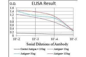 Black line: Control Antigen (100 ng), Purple line: Antigen(10 ng), Blue line: Antigen (50 ng), Red line: Antigen (100 ng), (Transferrin Receptor 抗体  (AA 608-727))
