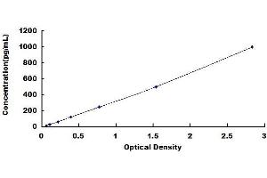 Typical standard curve