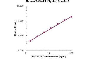 ELISA image for UDP-Gal:betaGlcNAc beta 1,4 Galactosyltransferase, Polypeptide 1 (B4GALT1) ELISA Kit (ABIN3198501)