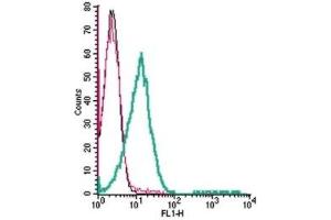 Flow Cytometry (FACS) image for anti-Transient Receptor Potential Cation Channel, Subfamily A, Member 1 (TRPA1) (AA 747-760), (Extracellular) antibody (FITC) (ABIN7043814)