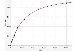 PIP4K2C ELISA 试剂盒