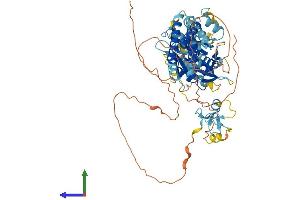 Protein Structure (PS) image for Ring Finger Protein 112 (RNF112) (AA 1-654) protein (His tag) (ABIN7560288)