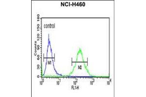 Flow cytometric analysis of NCI-H460 cells (right histogram) compared to a negative control cell (left histogram). (XPA 抗体  (C-Term))