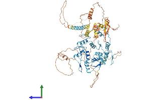 Protein Structure (PS) image for Zinc Finger Protein 336 (ZNF336) (AA 1-711) protein (His tag) (ABIN7548227)