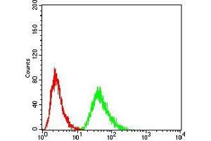 Flow cytometric analysis of Hela cells using RF1 mouse mAb (green) and negative control (red). (MTRF1 抗体  (AA 288-437))