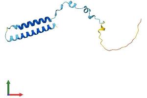 AlphaFold protein structure predicition of Mouse Recombinant Mmgt2 Protein, UniprotID Q8R3L0