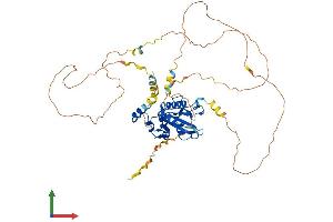 Protein Structure (PS) image for Cell Division Cycle 25 Homolog A (S. Pombe) (CDC25A) (AA 1-524) protein (His tag) (ABIN7549444)