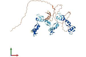 Protein Structure (PS) image for Zinc Finger Protein 134 (ZNF134) (AA 1-427) protein (His tag) (ABIN7545305)