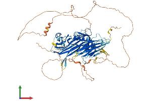 Protein Structure (PS) image for Stonin 1 (STON1) (AA 1-730) protein (His tag) (ABIN7559264)