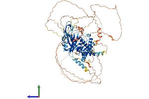 Protein Structure (PS) image for Ubiquitin Specific Peptidase 1 (USP1) (AA 1-785) protein (His tag) (ABIN7555948)