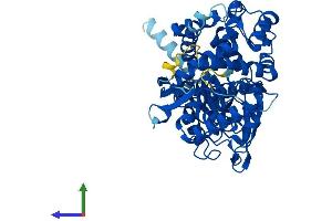 Protein Structure (PS) image for Cytochrome P450, Family 7, Subfamily A, Polypeptide 1 (CYP7A1) (AA 1-503) protein (His tag) (ABIN7557845)