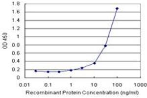 Sandwich ELISA detection sensitivity ranging from 1 ng/mL to 100 ng/mL. (B2M (人) Matched Antibody Pair)