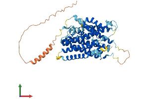 Protein Structure (PS) image for Solute Carrier Family 38 Member 1 (SLC38A1) (AA 1-487) protein (His tag) (ABIN7555313)