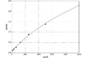 Cofilin 2 (CFL2) ELISA Kit