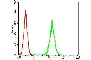 Flow cytometric analysis of Hela cells using PKN1 mouse mAb (green) and negative control (red). (PKN1 抗体  (AA 442-620))