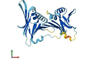 AlphaFold protein structure predicition of Mouse Recombinant Hus1b Protein, UniprotID Q8K572