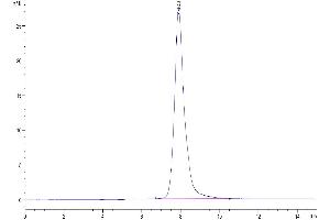 Size-exclusion chromatography-High Pressure Liquid Chromatography (SEC-HPLC) image for Immune Receptor Expressed On Myeloid Cells 1 (IREM1) (AA 20-156) protein (Fc Tag) (ABIN7274155)