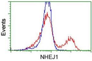 Flow Cytometry (FACS) image for anti-Nonhomologous End-Joining Factor 1 (NHEJ1) antibody (ABIN1499732) (NHEJ1 抗体)