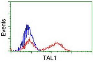 Flow Cytometry (FACS) image for anti-T-Cell Acute Lymphocytic Leukemia 1 (TAL1) antibody (ABIN1501288)